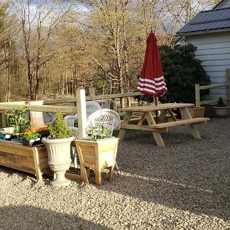 Welcome To Osborne Creek! Harpursville Luaran gambar